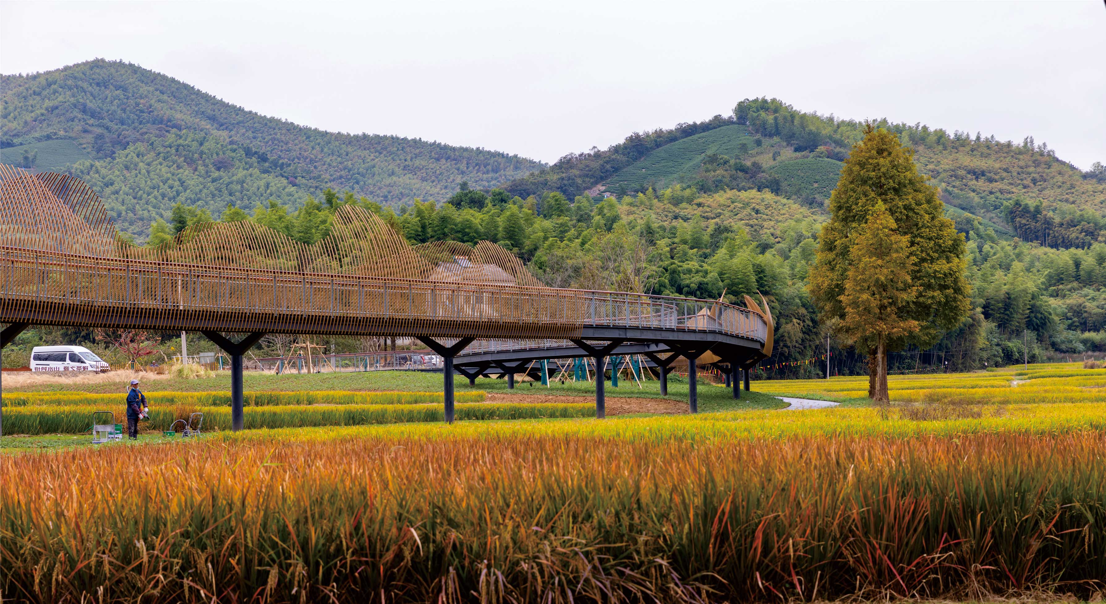 浙江湖州市妙山村美丽乡村“两山”示范点创建EPC工程