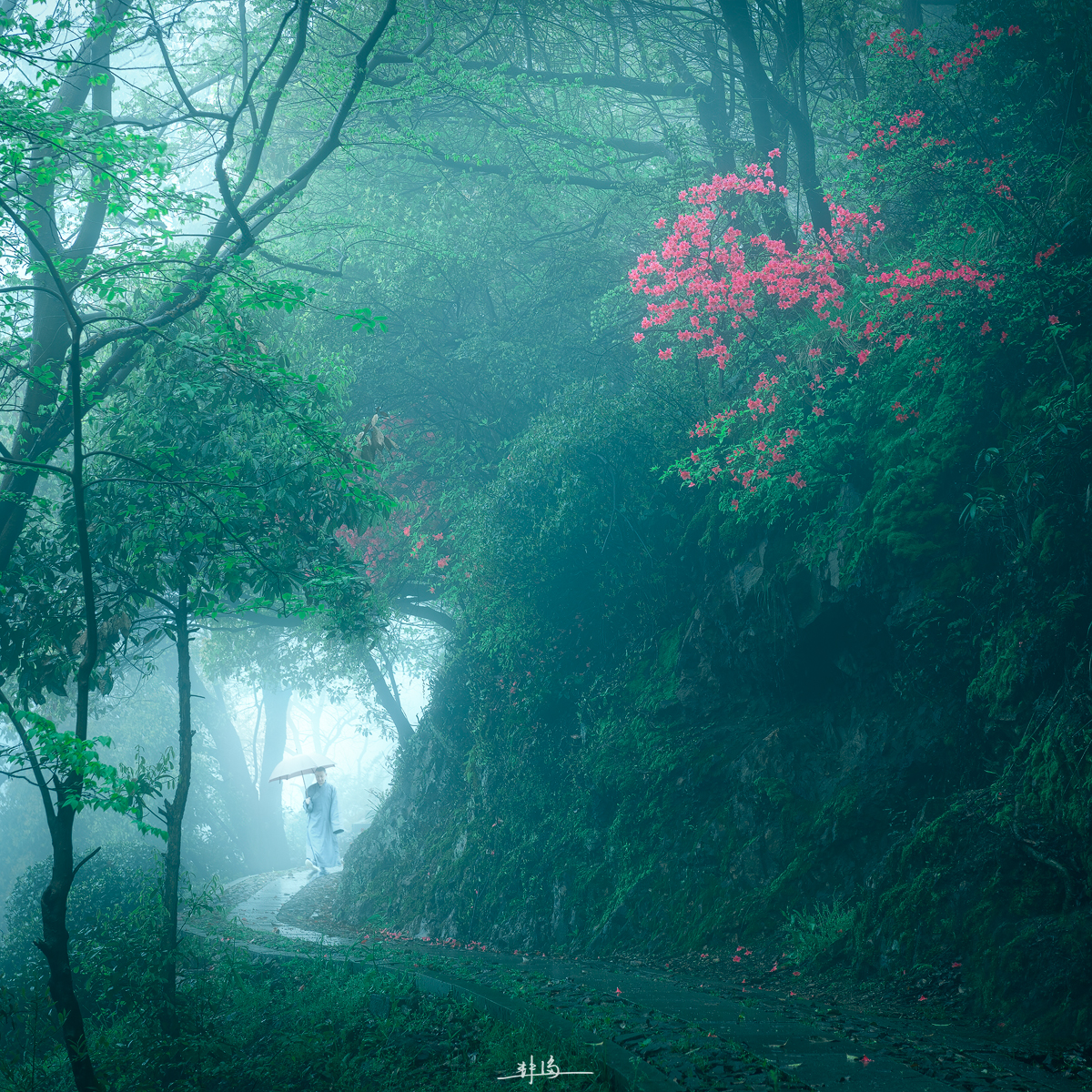 ZUP 节气 ｜清明
