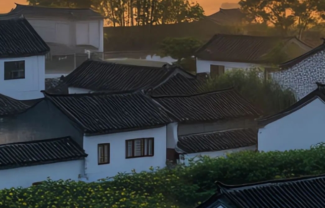 城乡融合-乡村振兴数智平台构建及浙江实践