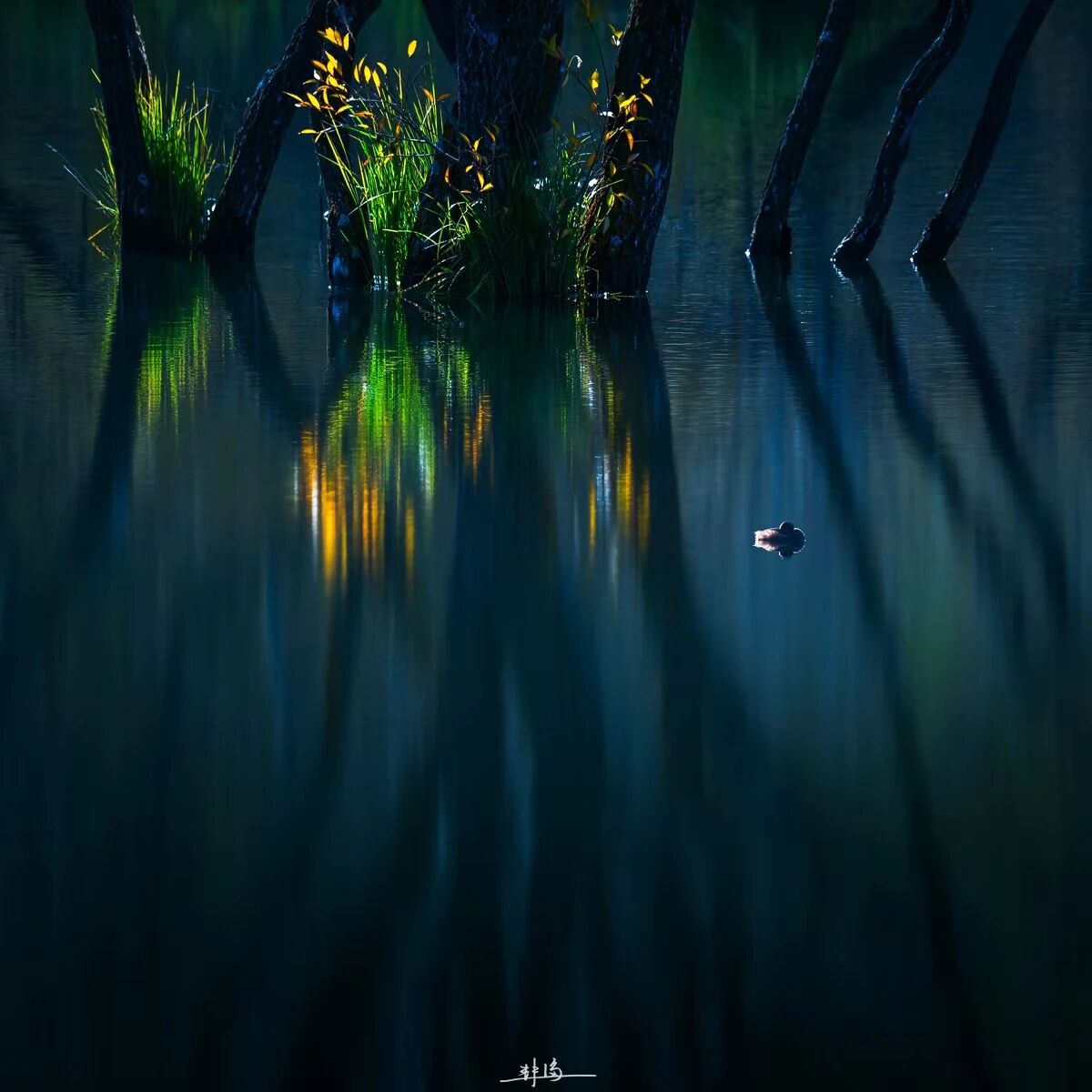 ZUP 秋分 ｜暑退九霄净，秋澄万景清。