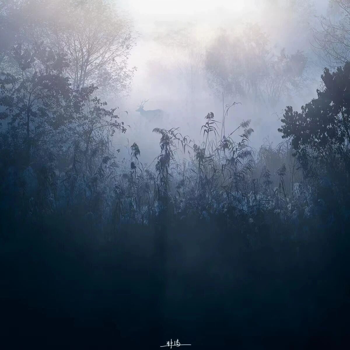 ZUP 霜降 ｜霜降水返壑，风落木归山。