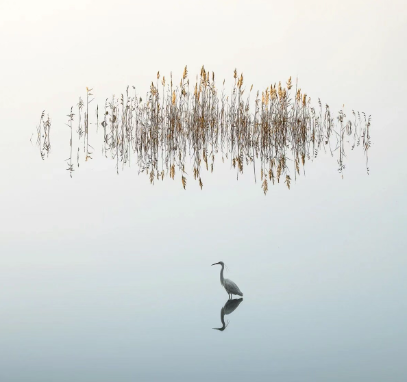 ZUP 冬至 ｜天时人事日相催，冬至阳生春又来。