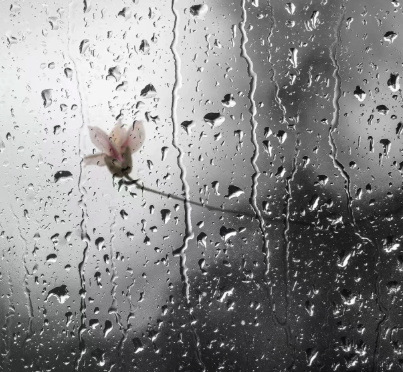 雨水｜甘霖润物，春启新耕