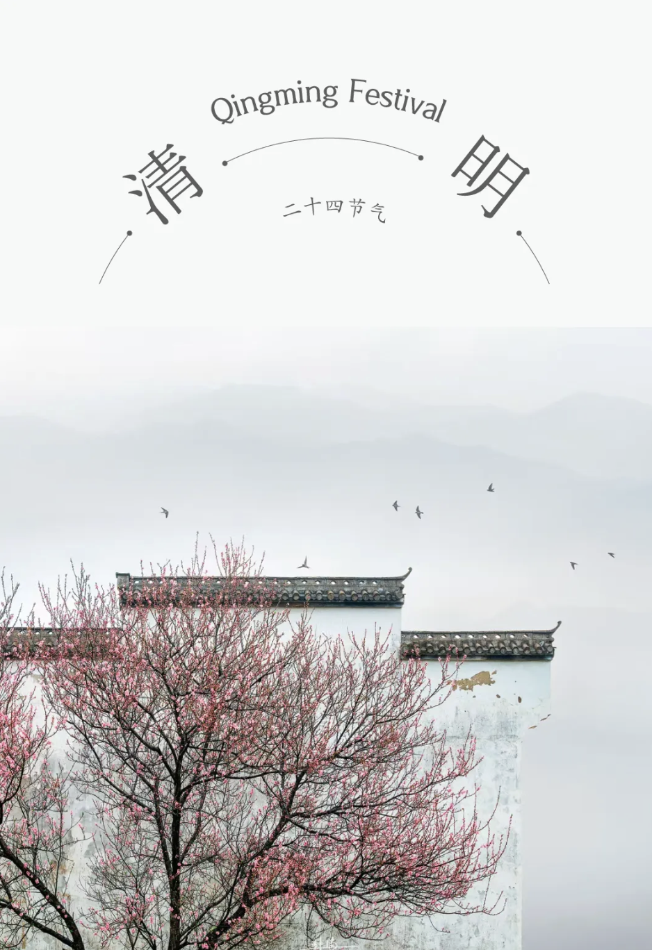 ZUP 节气 ｜ 清明 ｜气清景明，万物以新