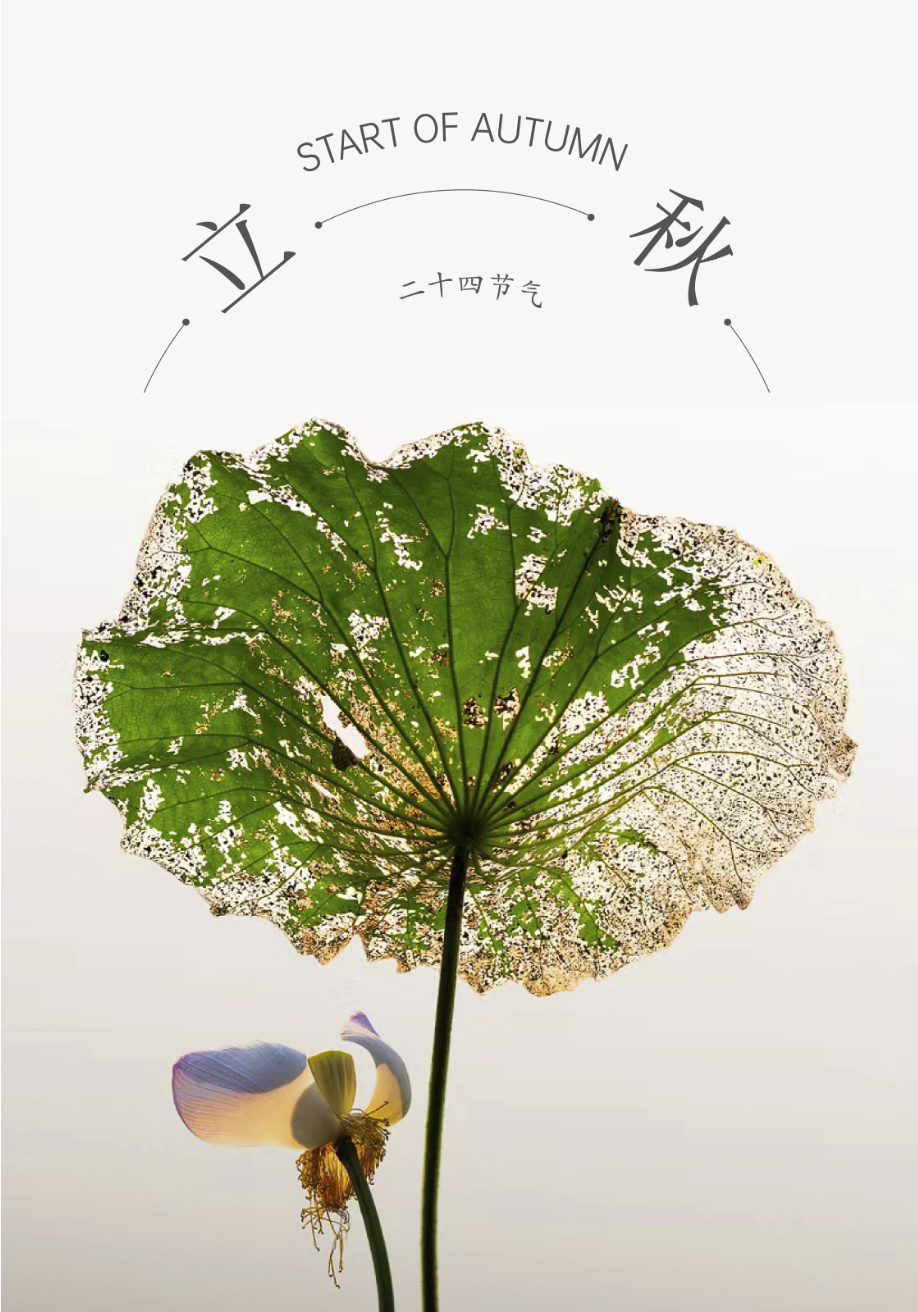 ZUP 节气 ｜立秋｜秋立暑中，万物渐成