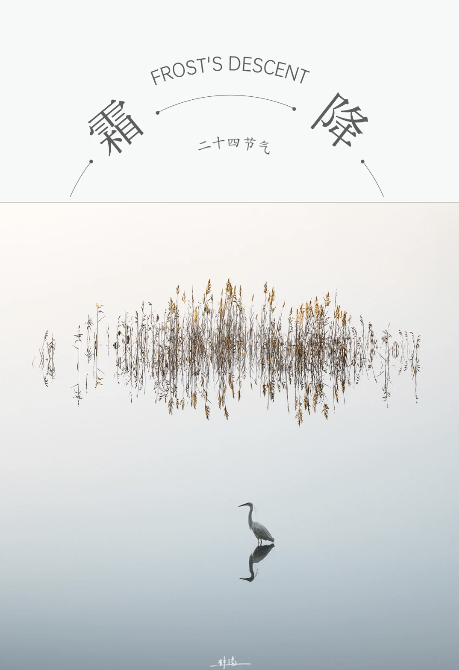 ZUP 节气 ｜霜降 ｜金风玉露，秋色向晚